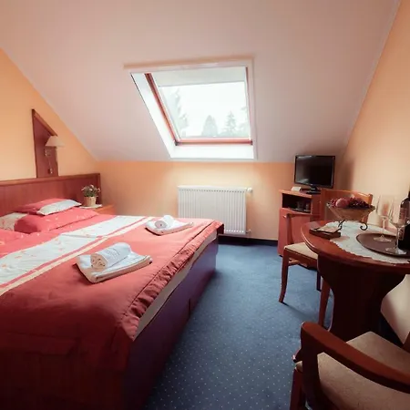 Boglarka Panzio - Etterem Es Apartmanhazak Mezokovesd