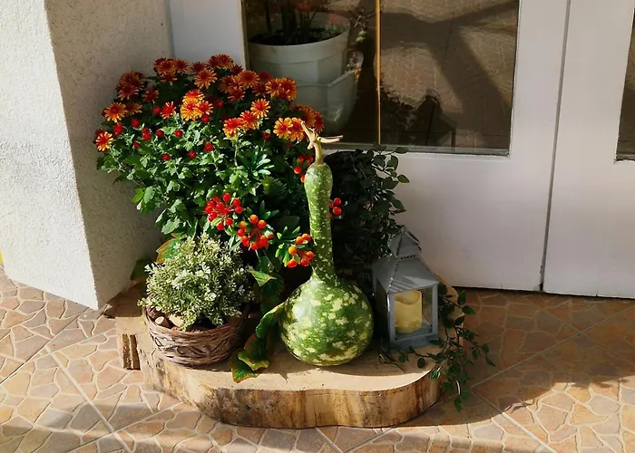 Boglarka Panzio - Etterem Es Apartmanhazak Pensionat 3*